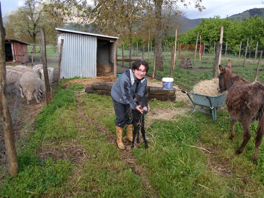Azienda Agrituristica Pericle Montella Bagian luar foto