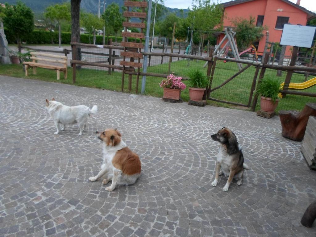 Azienda Agrituristica Pericle Montella Bagian luar foto