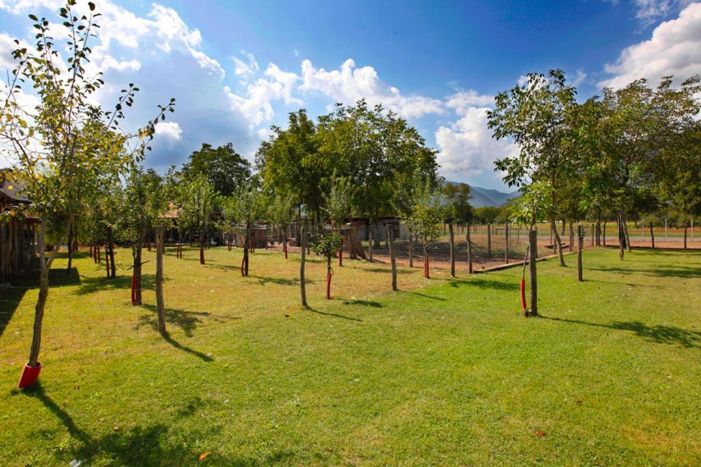 Azienda Agrituristica Pericle Montella Bagian luar foto