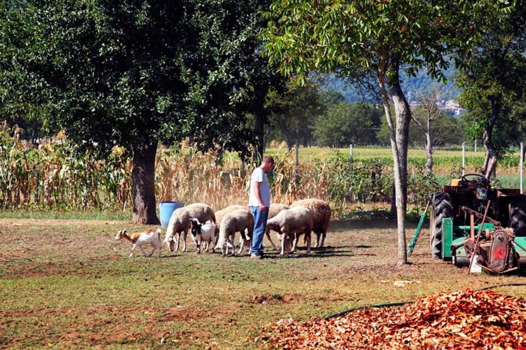 Azienda Agrituristica Pericle Montella Bagian luar foto