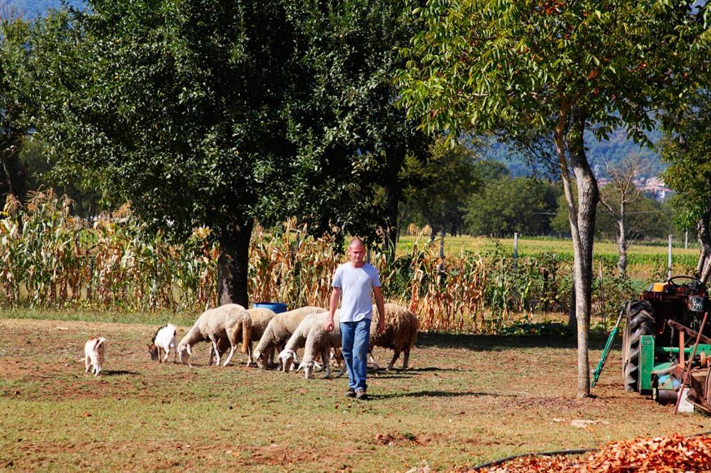 Azienda Agrituristica Pericle Montella Bagian luar foto